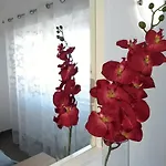 Torre 6- Vista Cidade, Aconchegante, 80mt Praia, Wifi *
