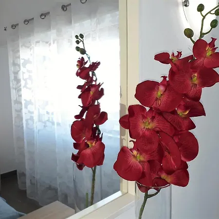 Torre 6- Vista Cidade, Aconchegante, 80mt Praia, Wifi *