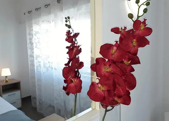 Torre 6- Vista Cidade, Aconchegante, 80mt Praia, Wifi *